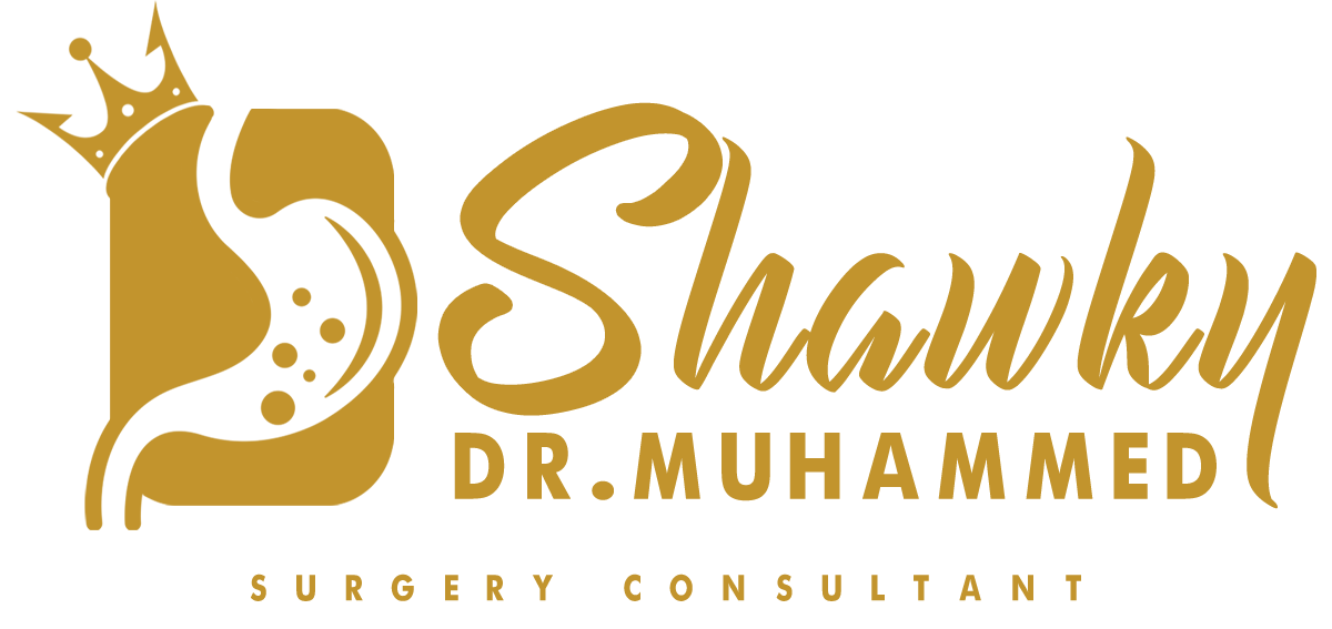 Dr. Mohamed Shawky